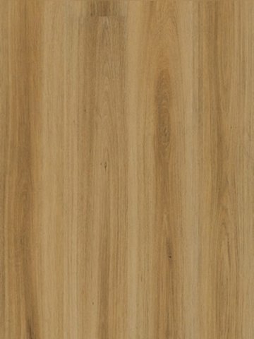 wmp24235c Moduleo Primero 30 Click Vinyl Summer Oak Designbelag Wood Planken Klicksystem